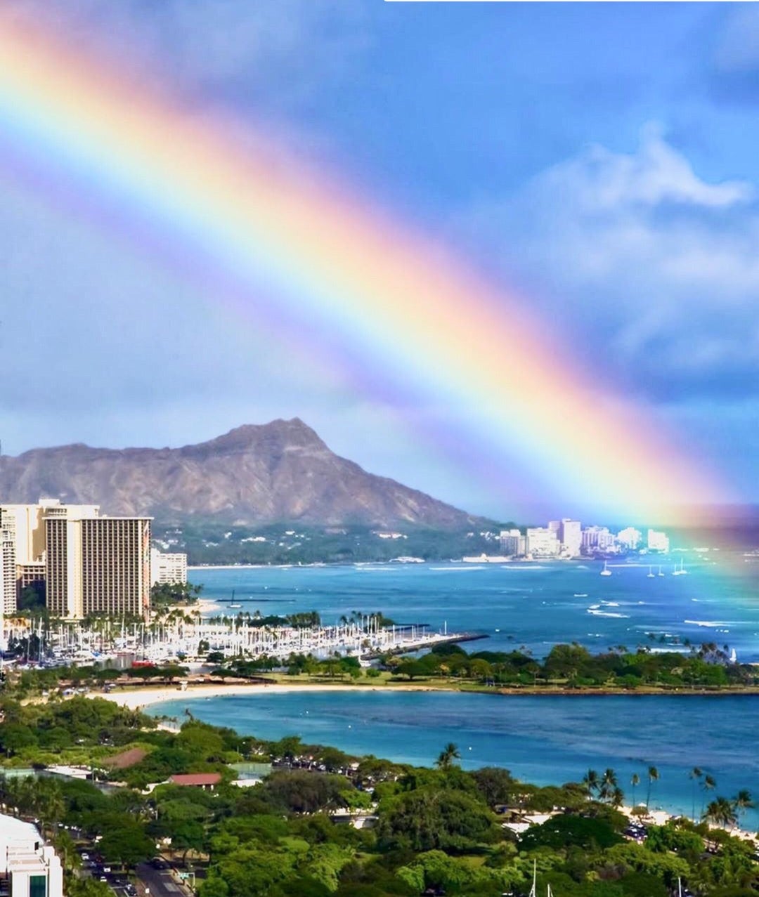 手元にハワイの風を感じて💛モンステラバングルでリゾート気分
