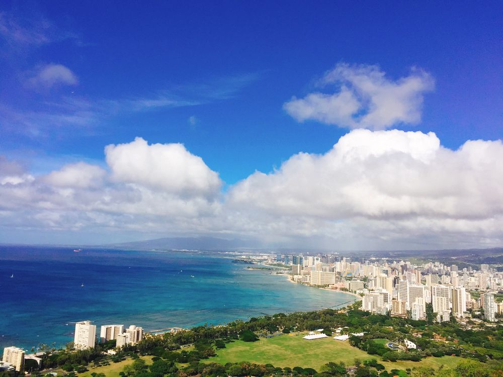 🌈シンプルだけど表情豊か。スクロール×ツイストピアス
