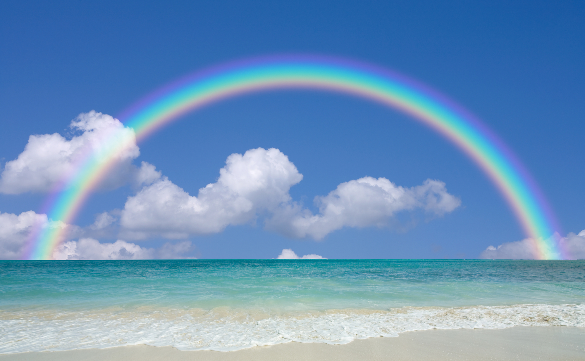 新宿サザンテラスマルシェ🌺 たくさんの笑顔とMahaloを込めて