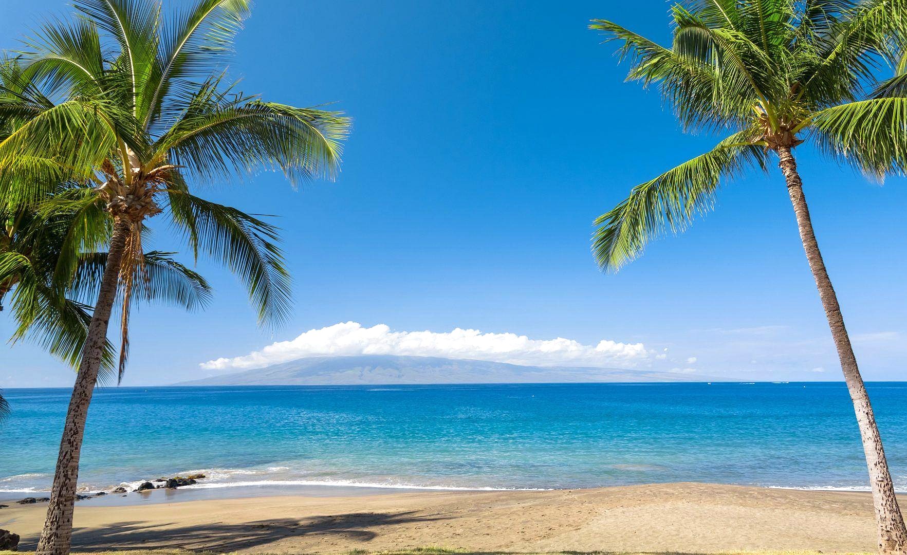 耳元に、さりげなくハワイの風を🌊 スクロールデザイン片耳ピアスのご紹介