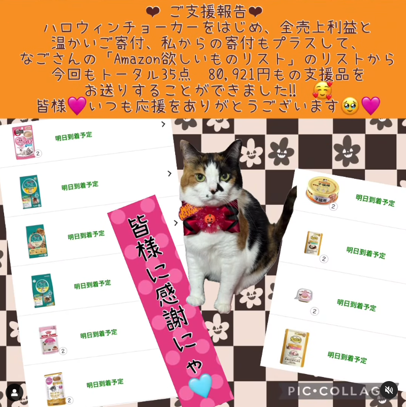♥ ご支援報告 ♥