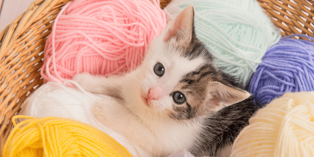 猫好きの心をくすぐる｜テーブル・窓辺・壁がごきげんになる猫雑貨