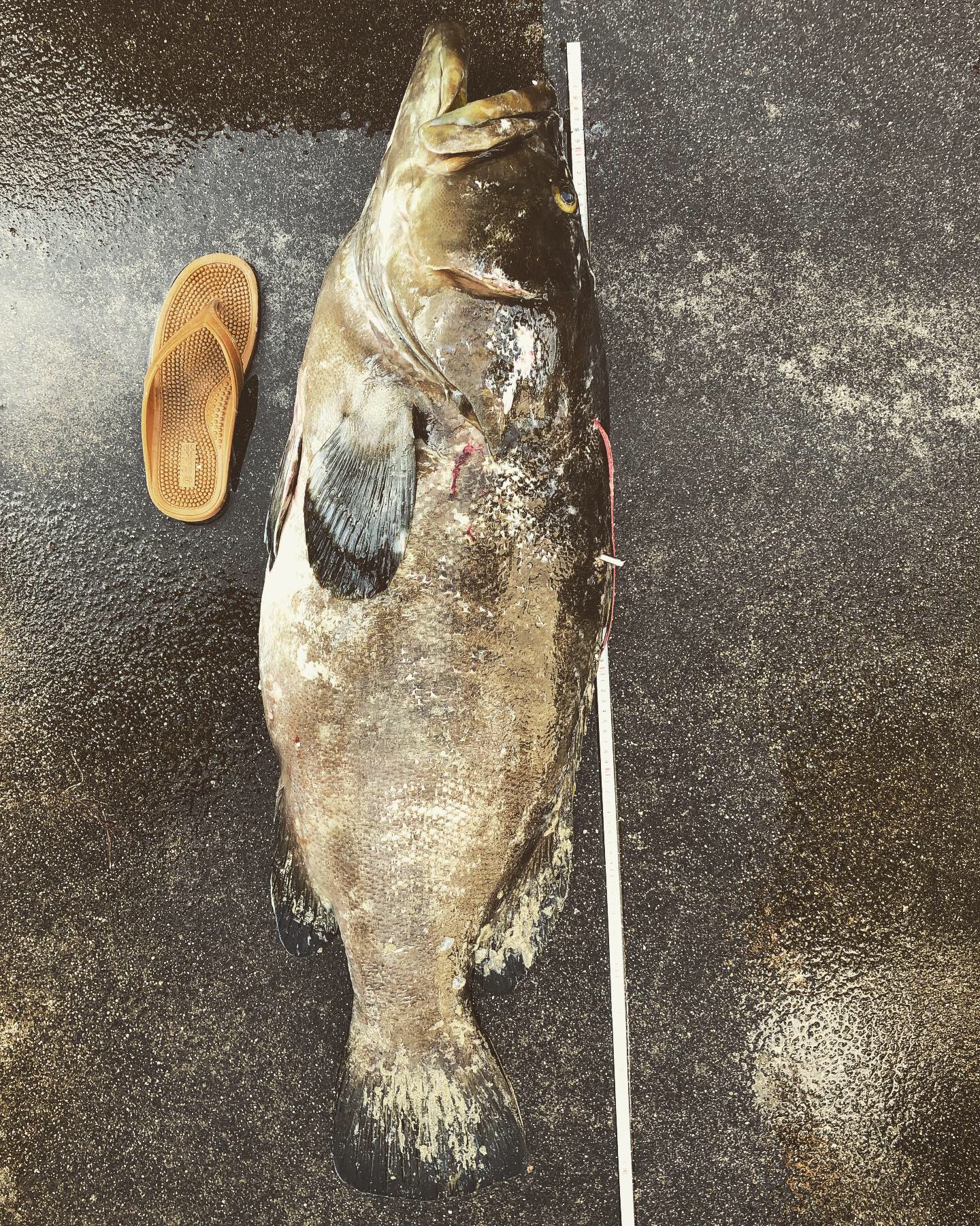 野良道具製作所について