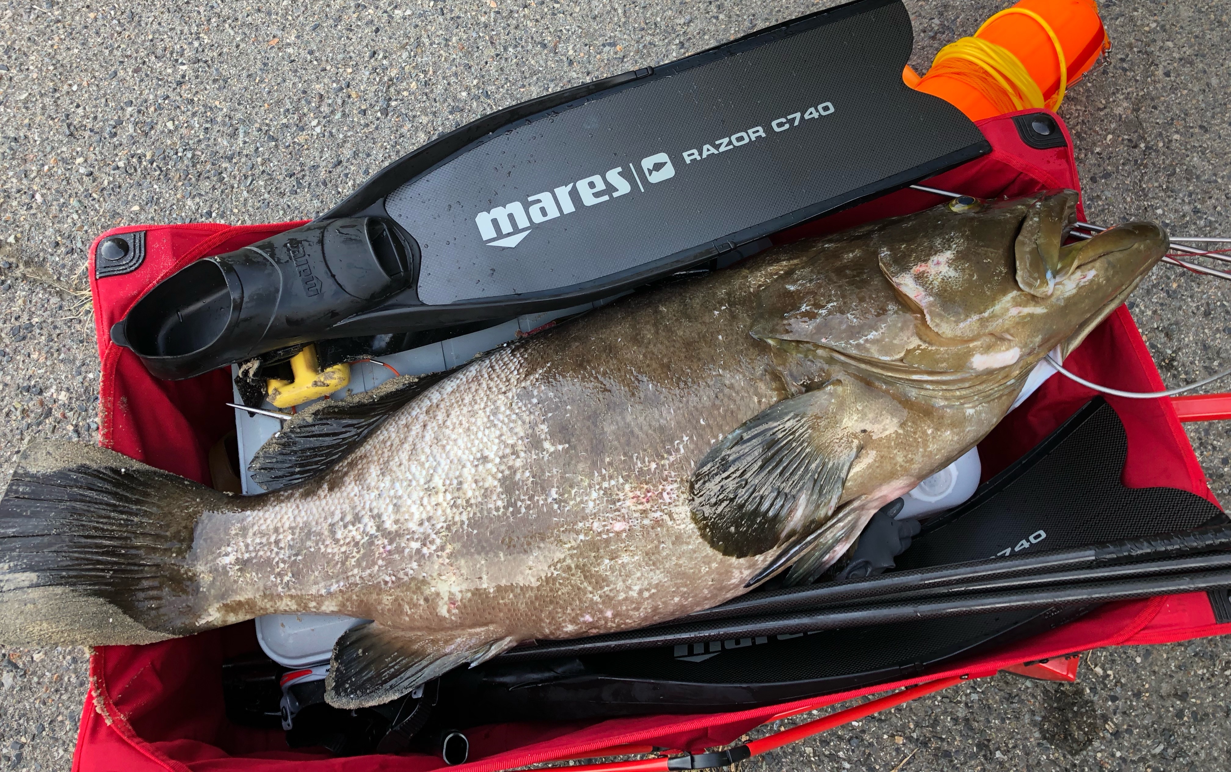 野良道具製作所について