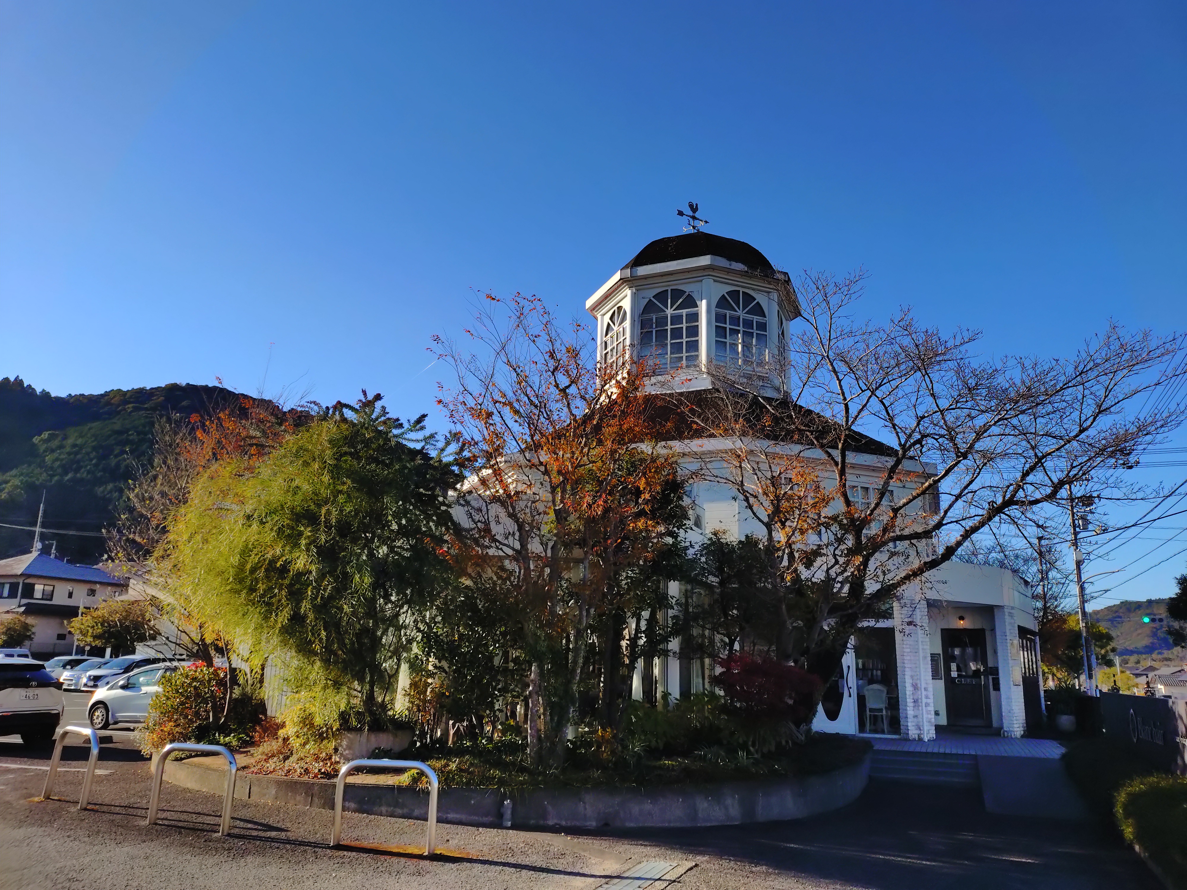 松熊孝広絵画展2025「ZOO〜佇む光の中で」開催中