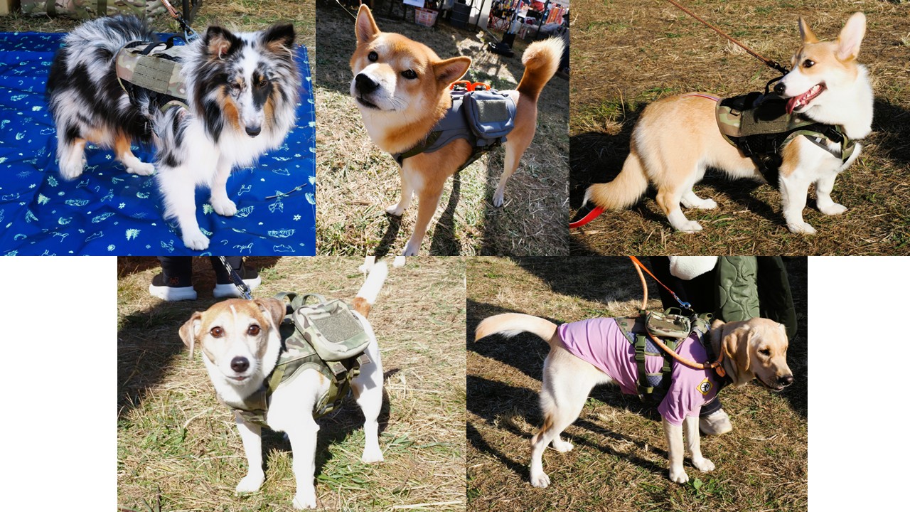 「ドッグフレンドリーフェスタ in 水元公園 2025 NOVEMBER」Vol.2