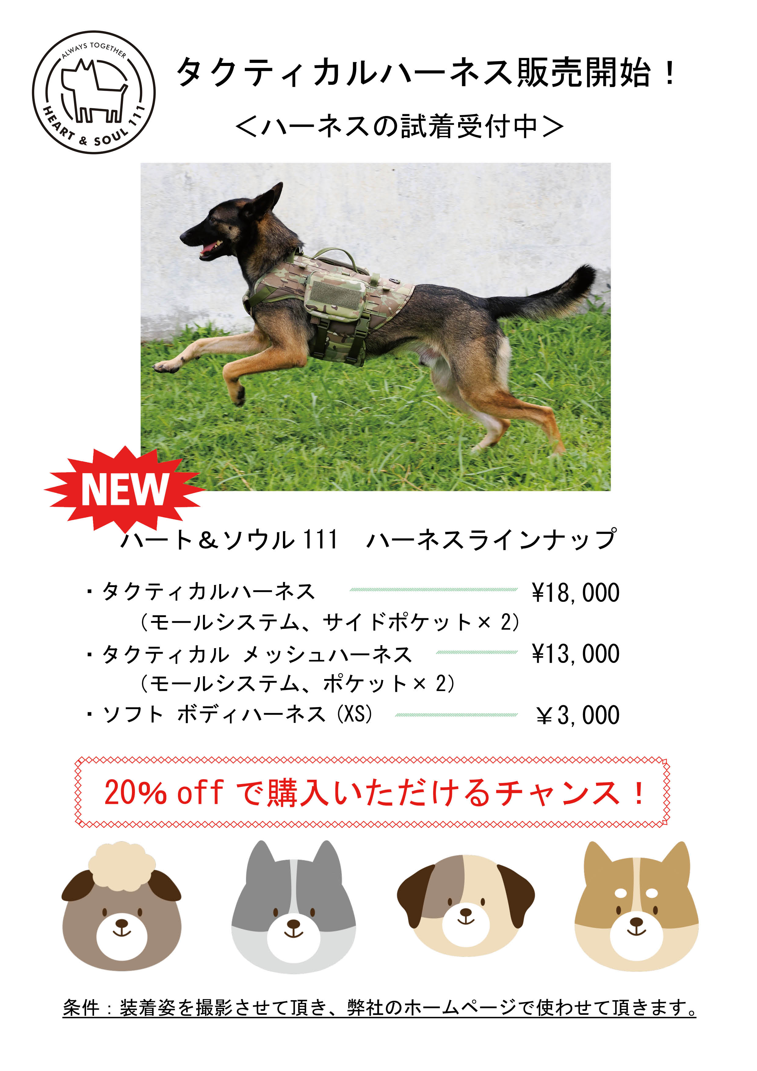 タクティカルハーネス販売開始キャンペーンのお知らせ