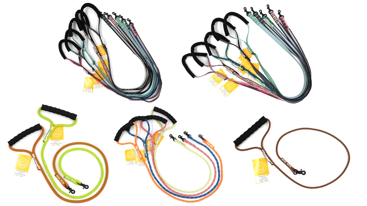 リード（5種類／12カラー）が入荷しました。