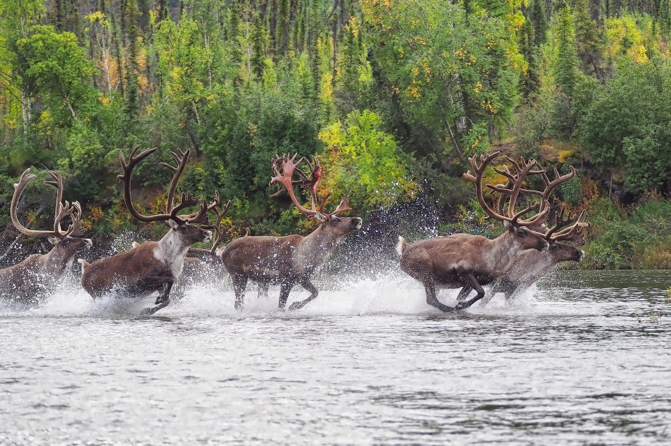 8/22～24 trailsideでinuksuk ポップアップショップとトーク&スライドショー開催