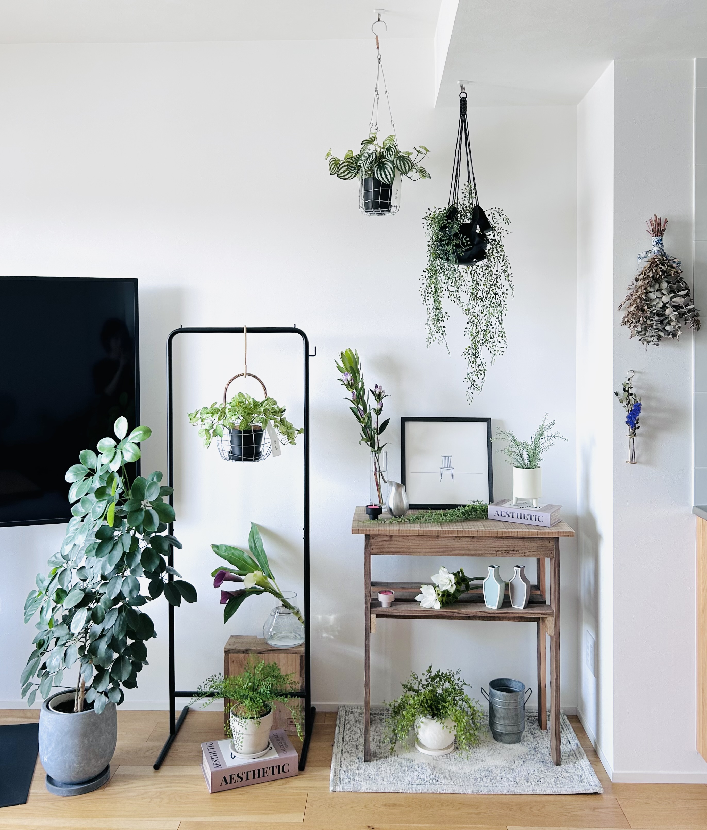 人気のフェイクグリーンハンギングポットがリニューアル!