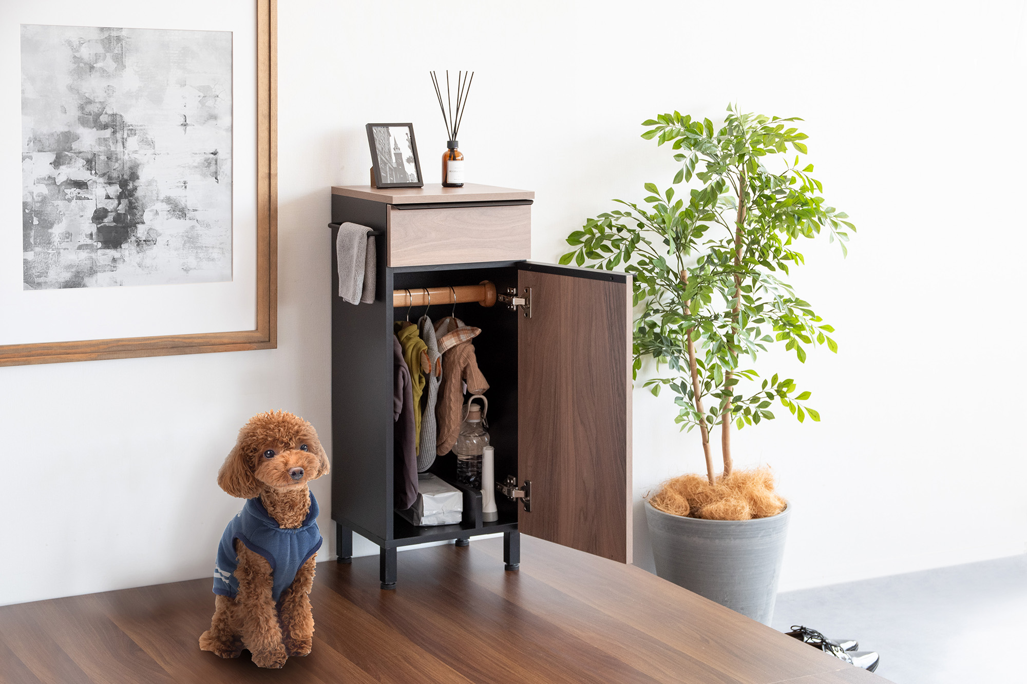 愛犬のための「ちょうどいい」が詰まった『ドッグラック Paseo』で快適な暮らしを