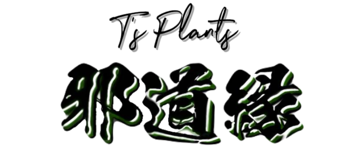邪道縁が遂にOPEN‼︎