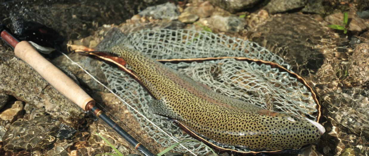 The process of fishing.