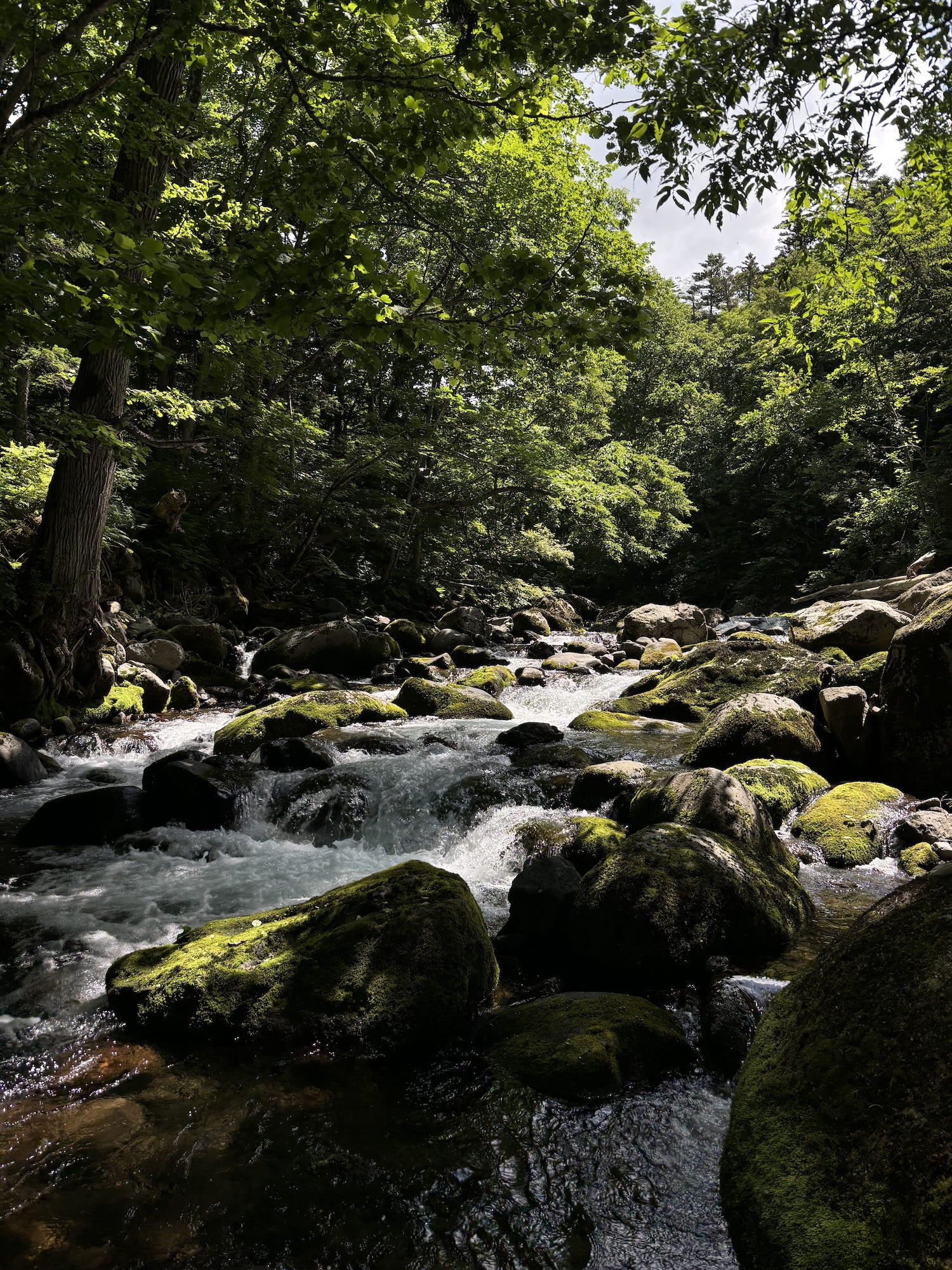 You don't have to go to the river to fish.