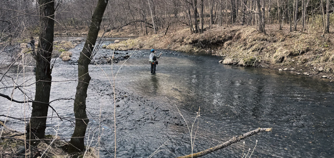 Dear Flyman, I have something to say to you.