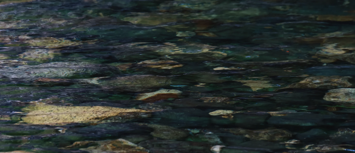 Take the first step—even if it's small.