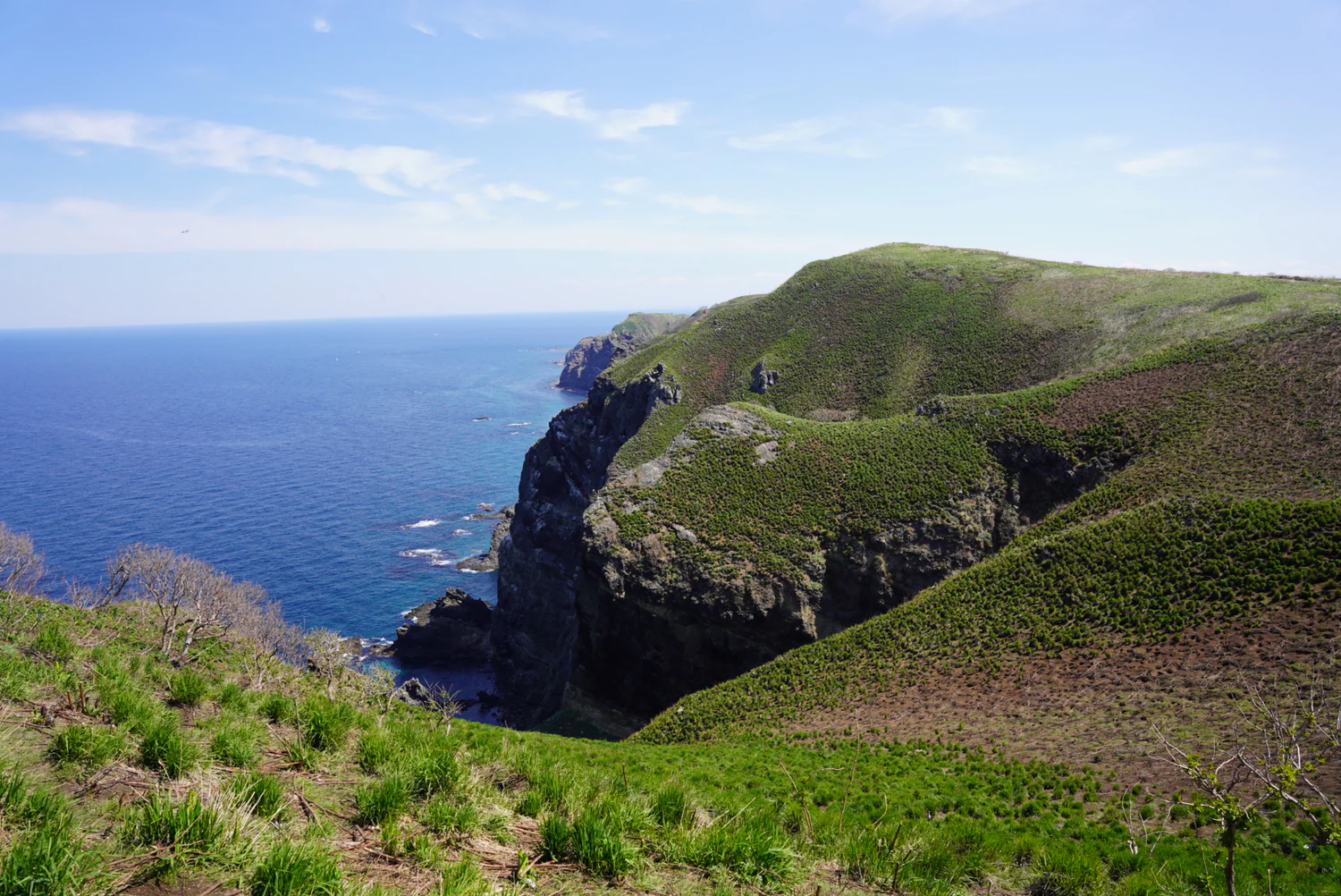 Weaving the future on a remote island