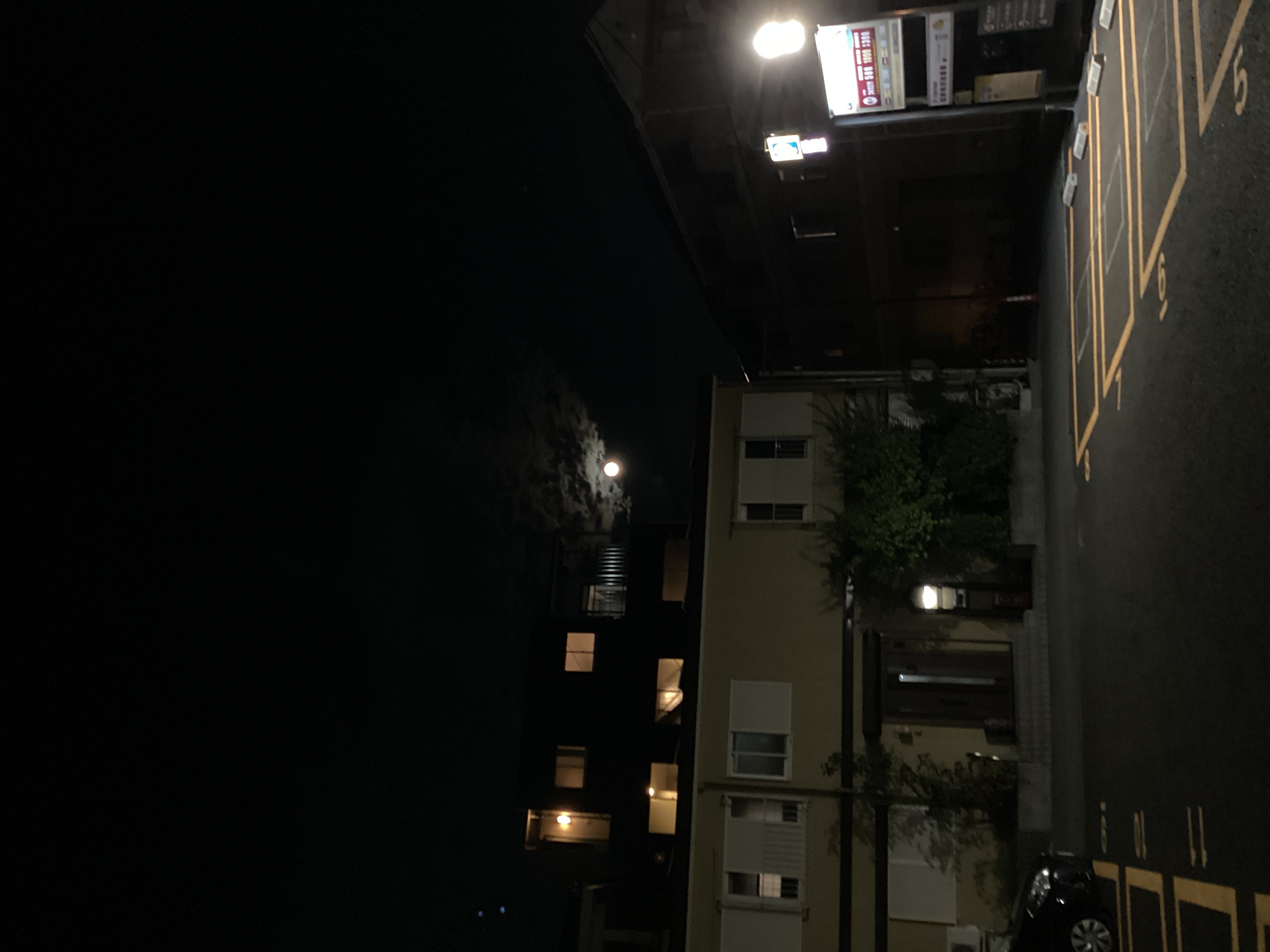 2026 午年 駆け抜ける、時に歩く