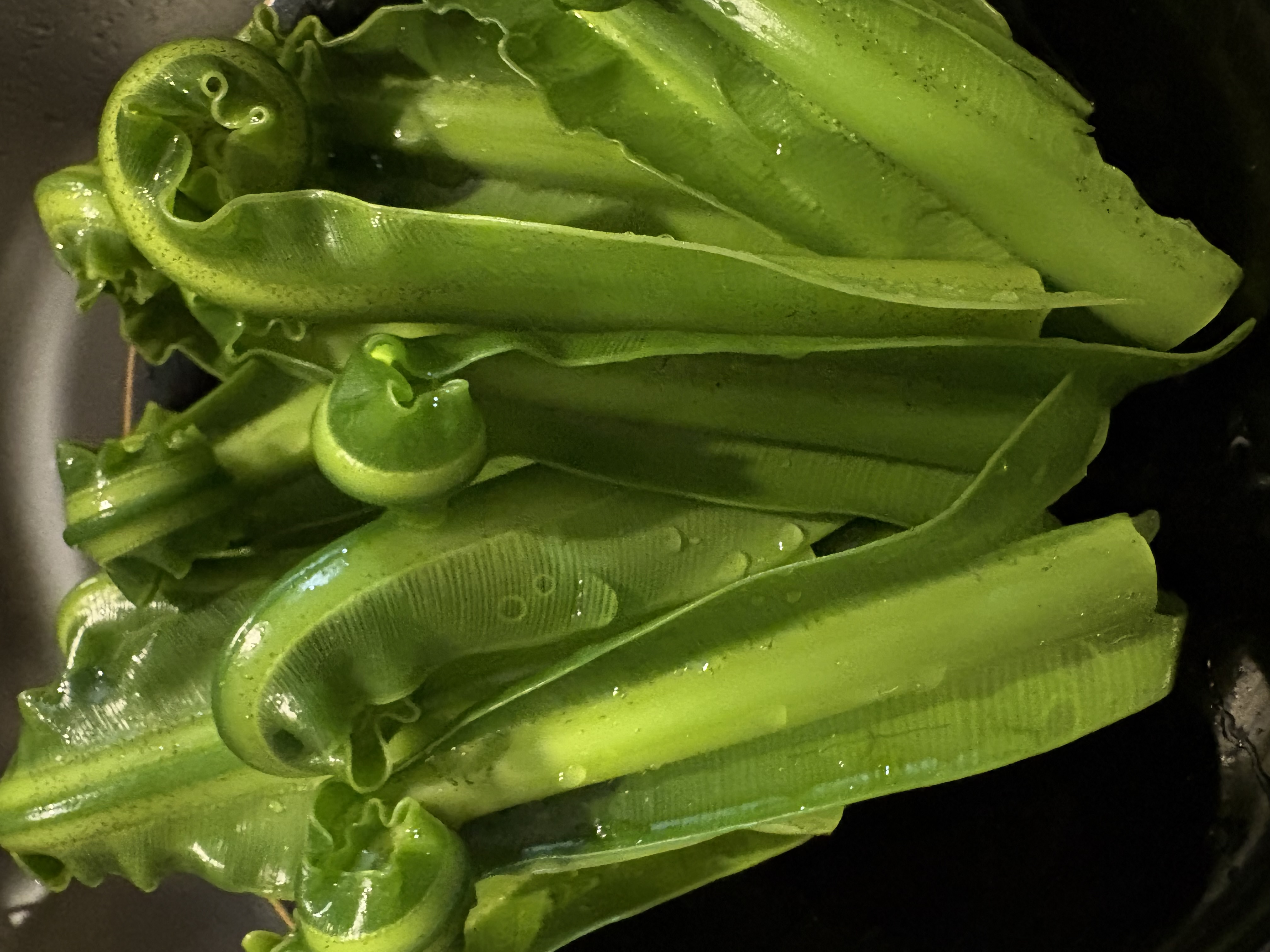 ヤフィタ工房の日常