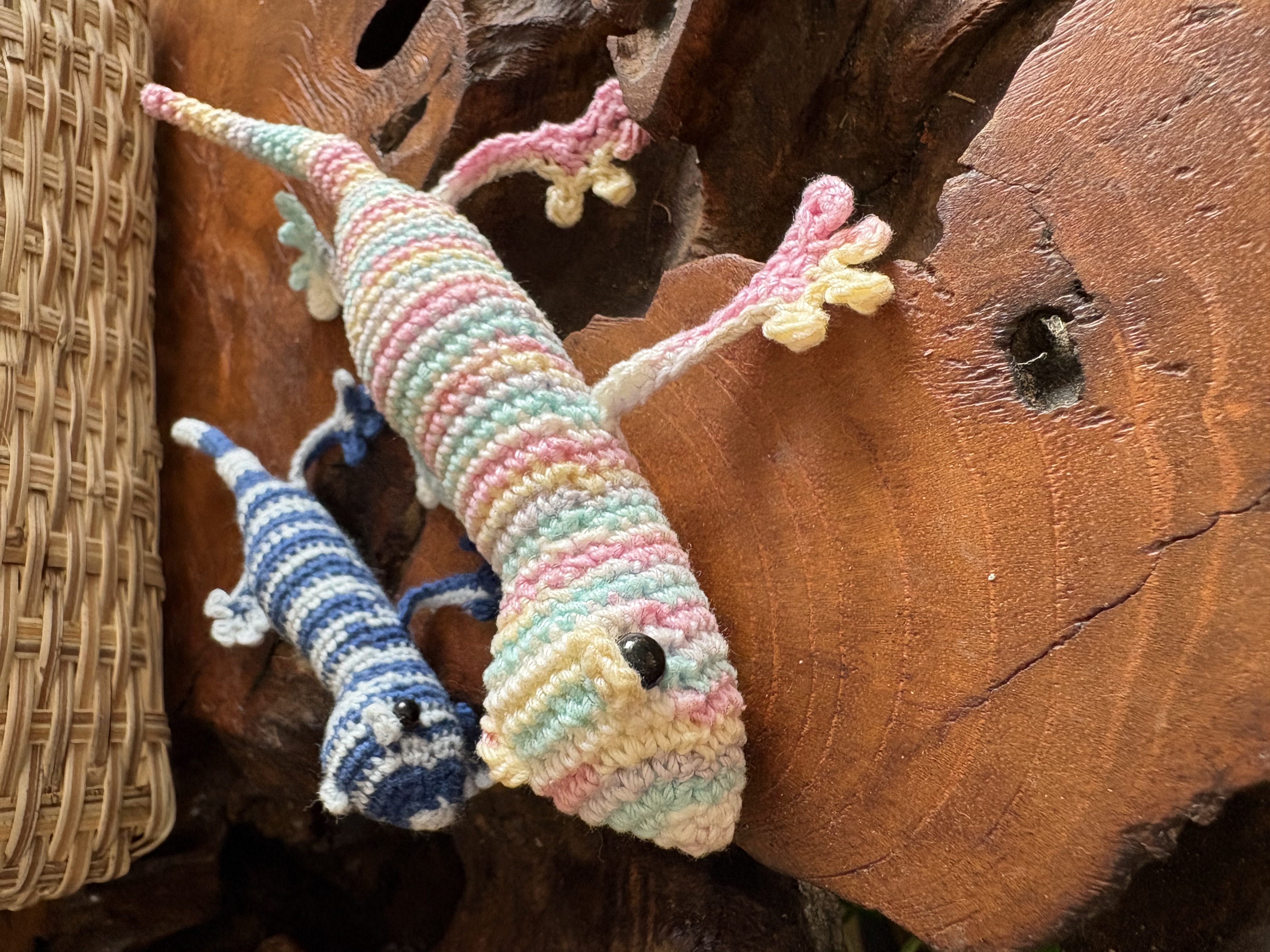 沖縄のねぇねぇが編んだヤモリ🦎