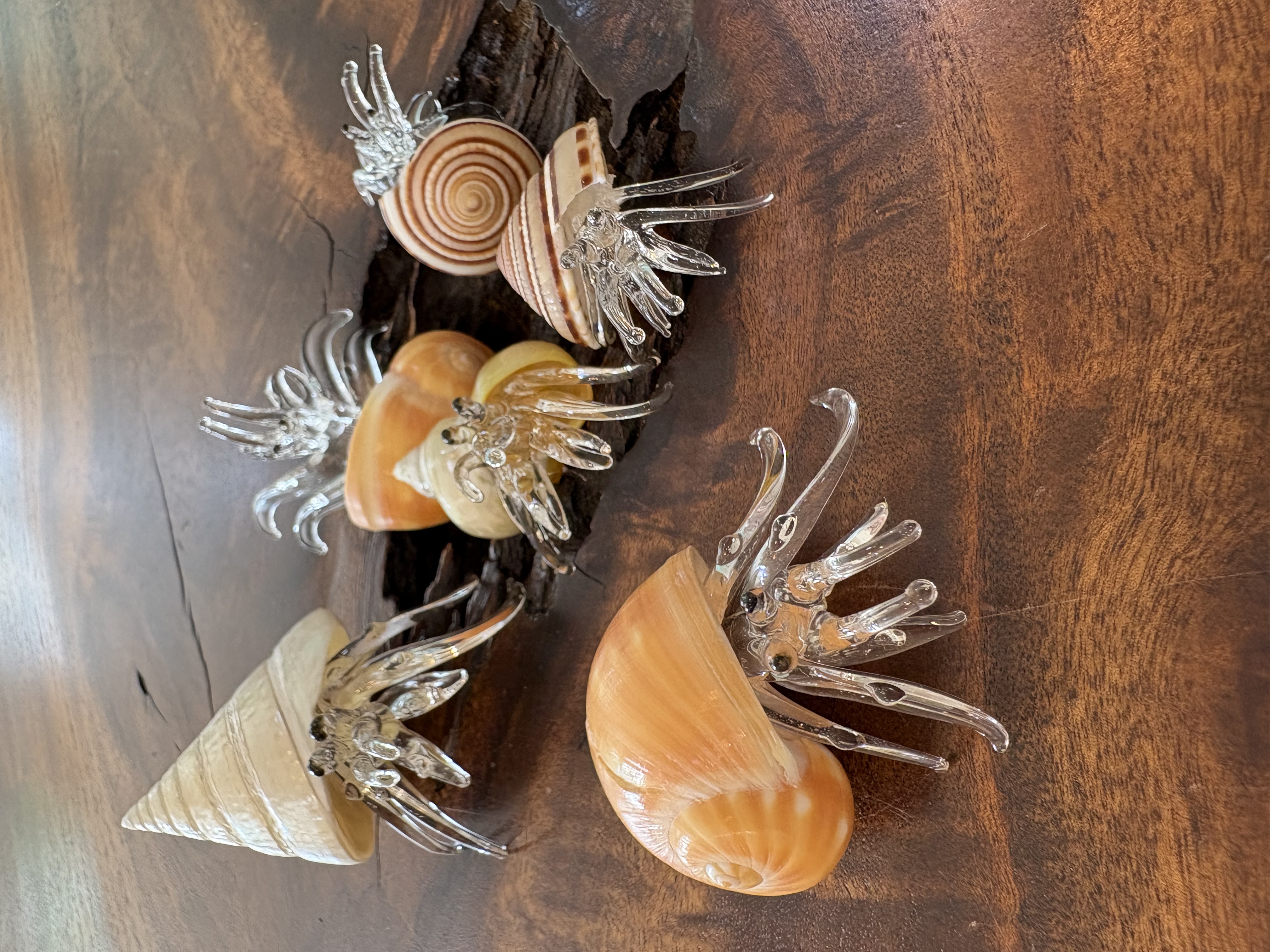 ガラスのヤドカリ