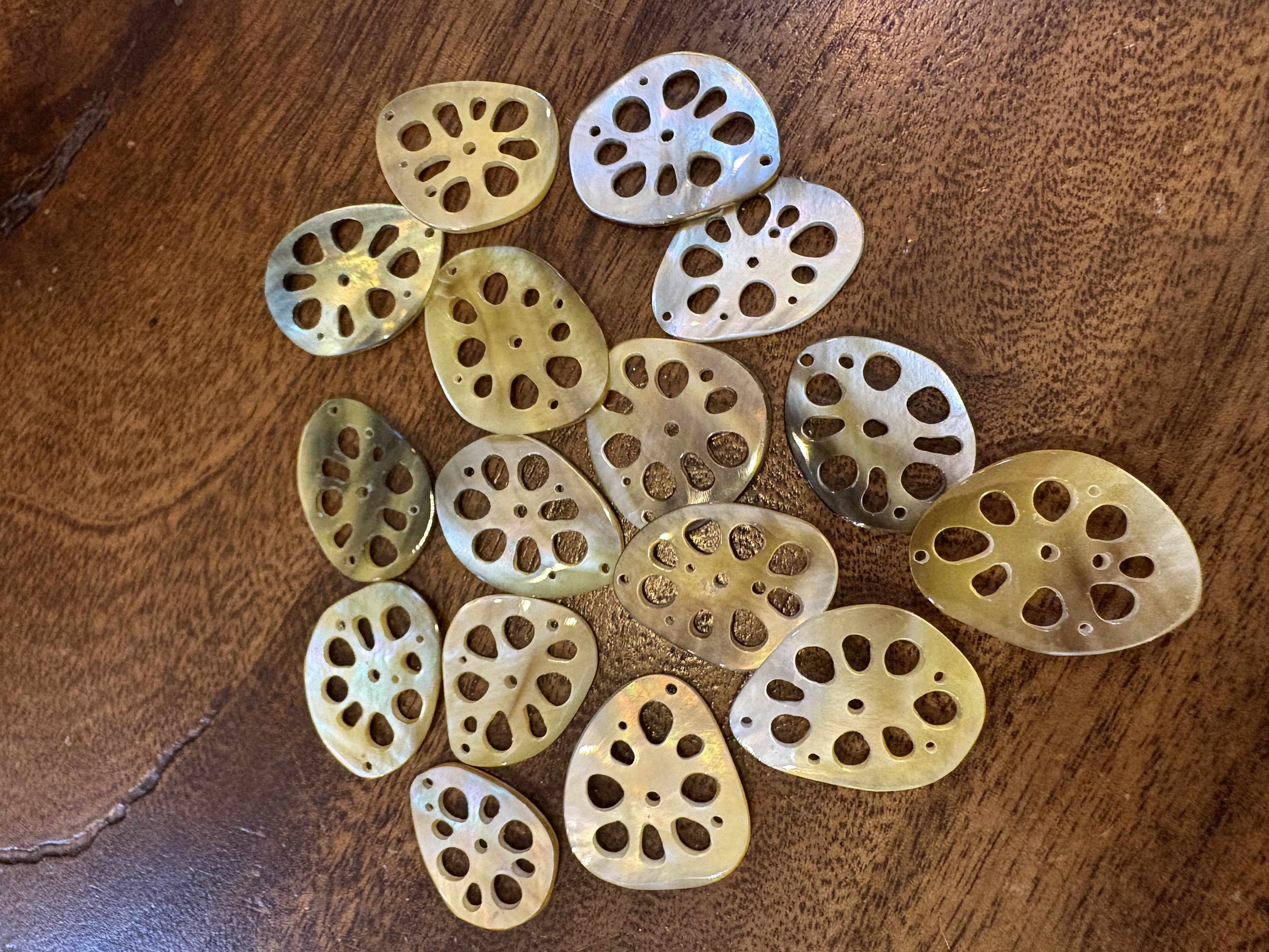 黒蝶貝　レンコンチップス