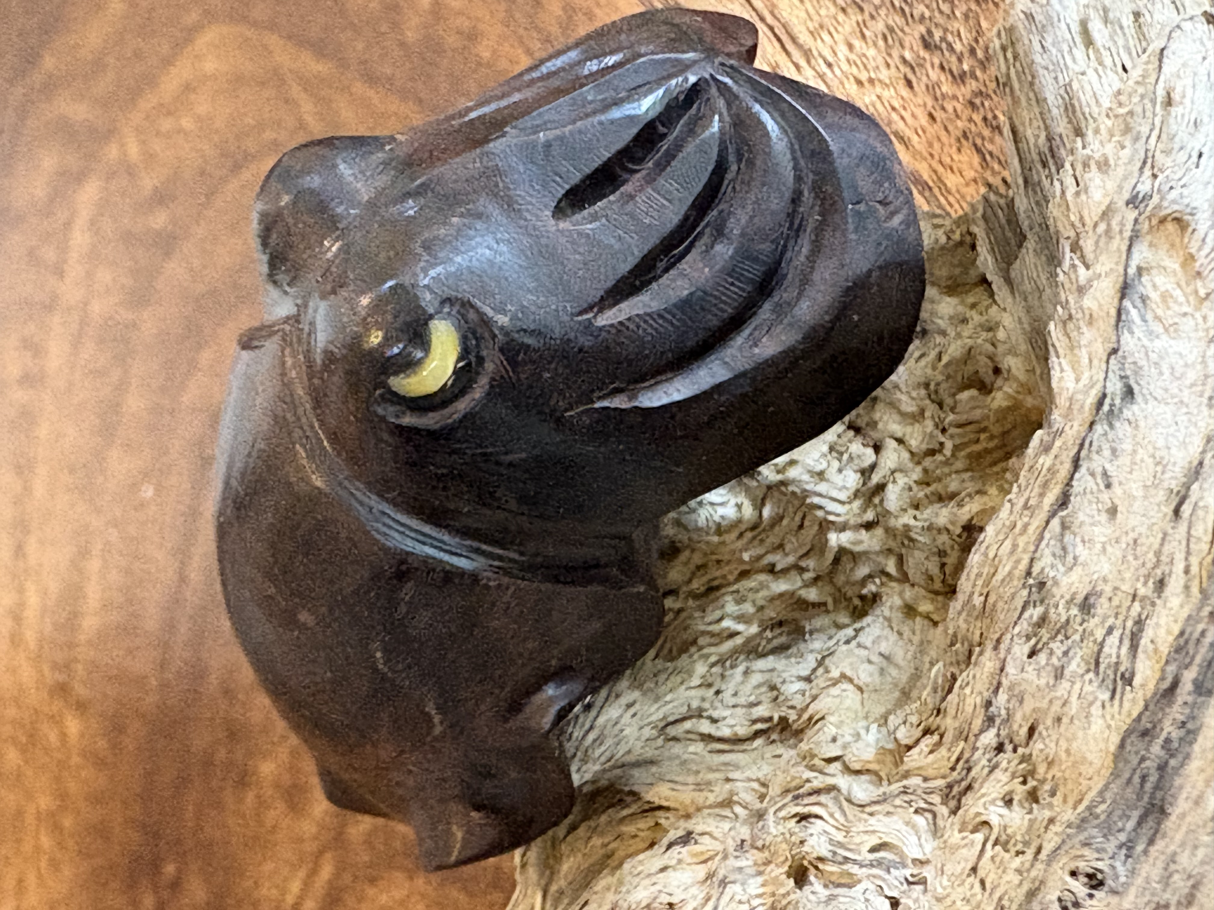 黒檀で作るクブシミのオブジェ (和名 コブシメ)