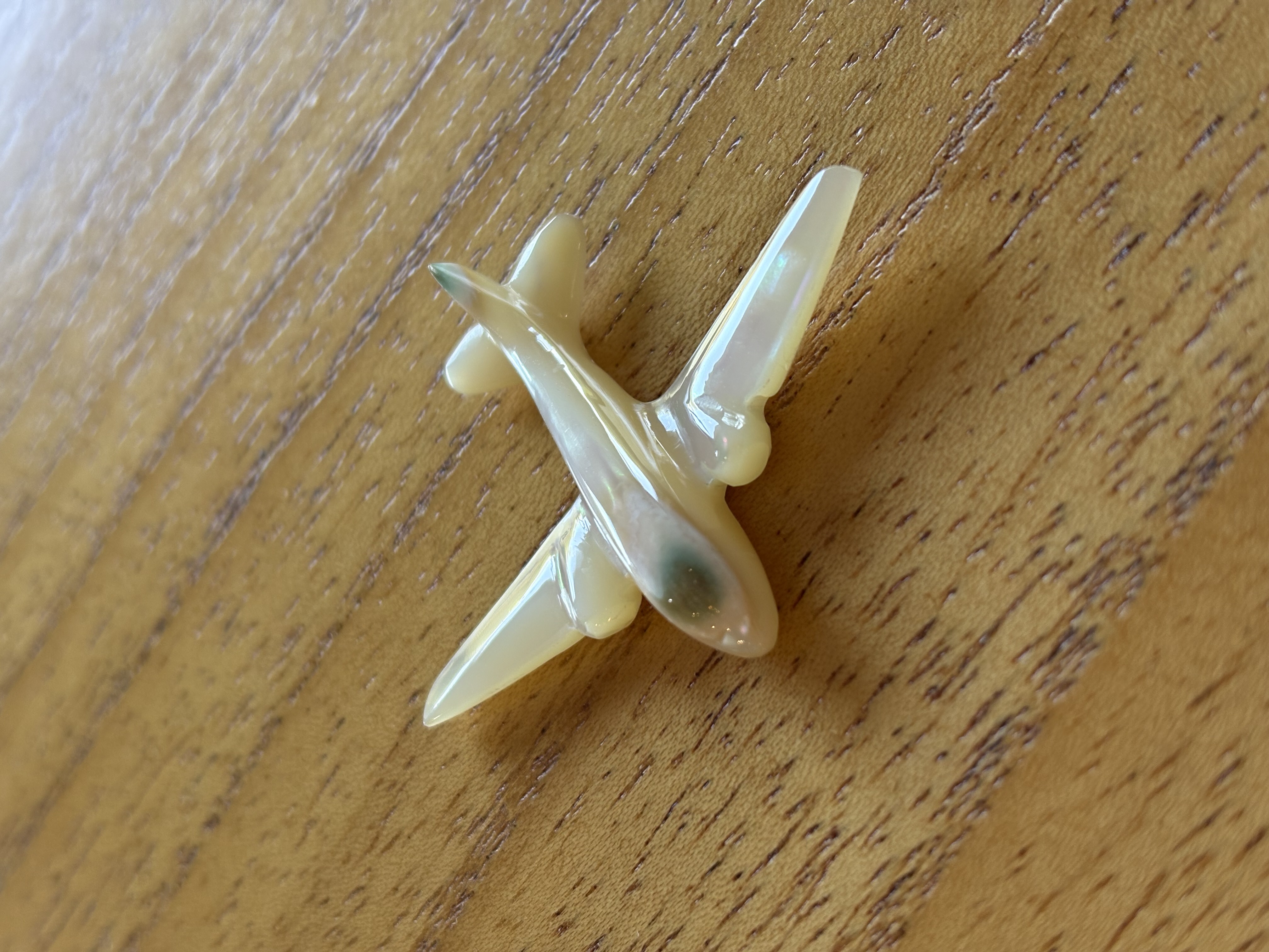 夜光貝の飛行機