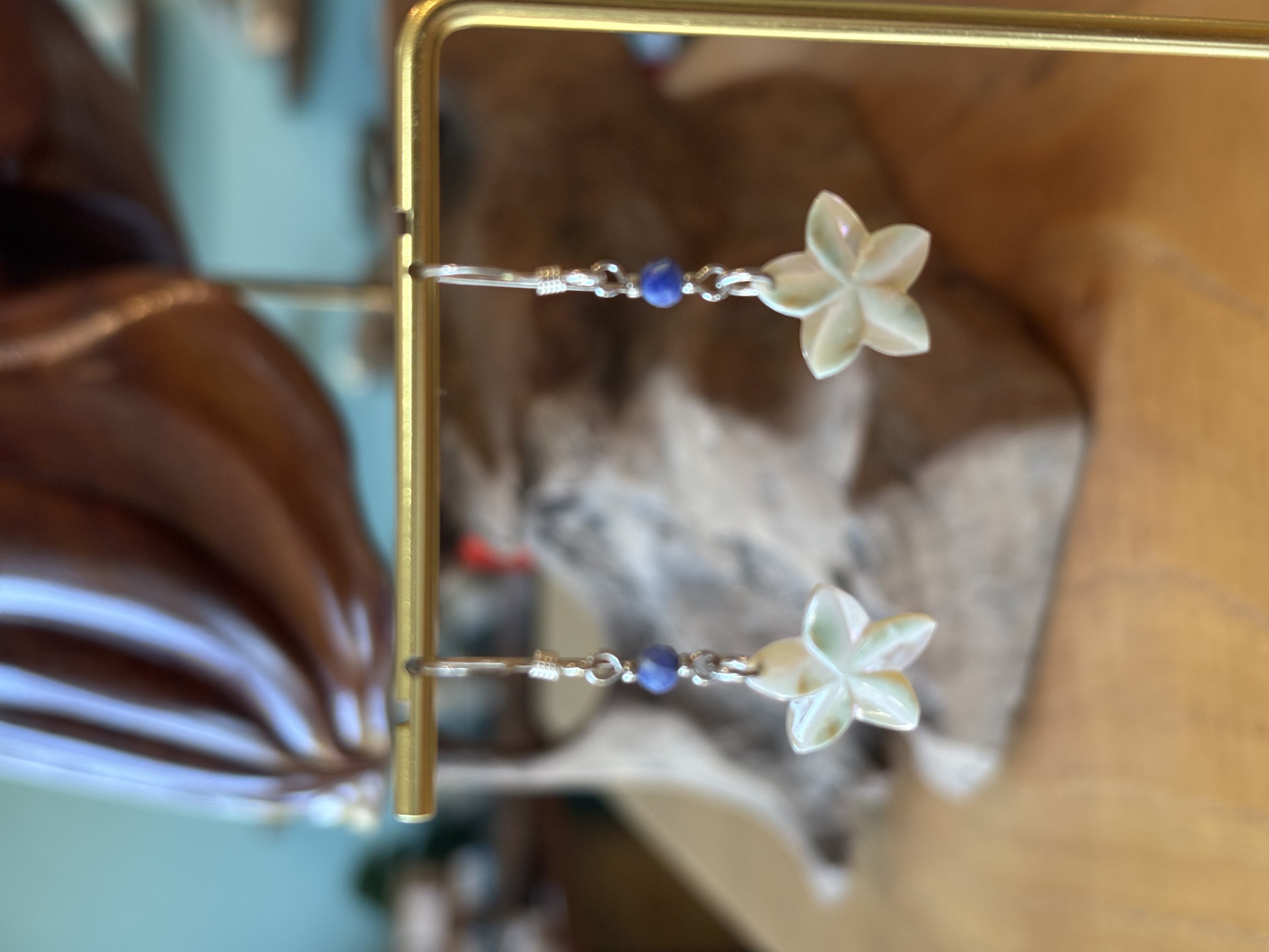 夜光貝プルメリア