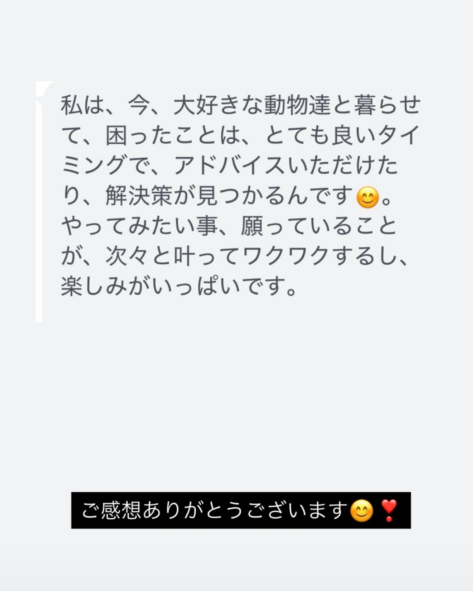 【ご感想】大好きな動物達と暮らせていて、困った事への解決策も見つかる。願いが叶う✨