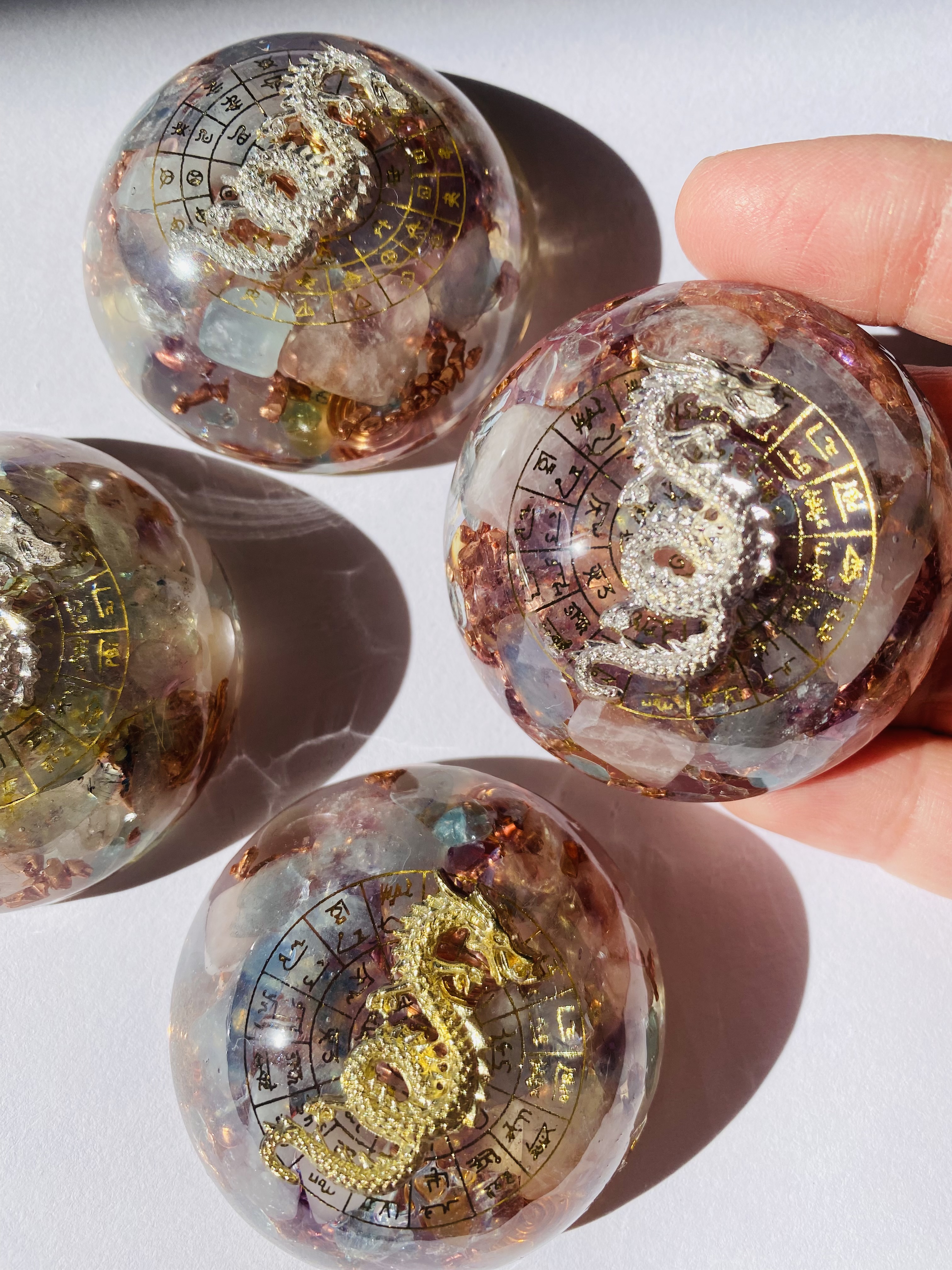 龍は鱗のある動物の長