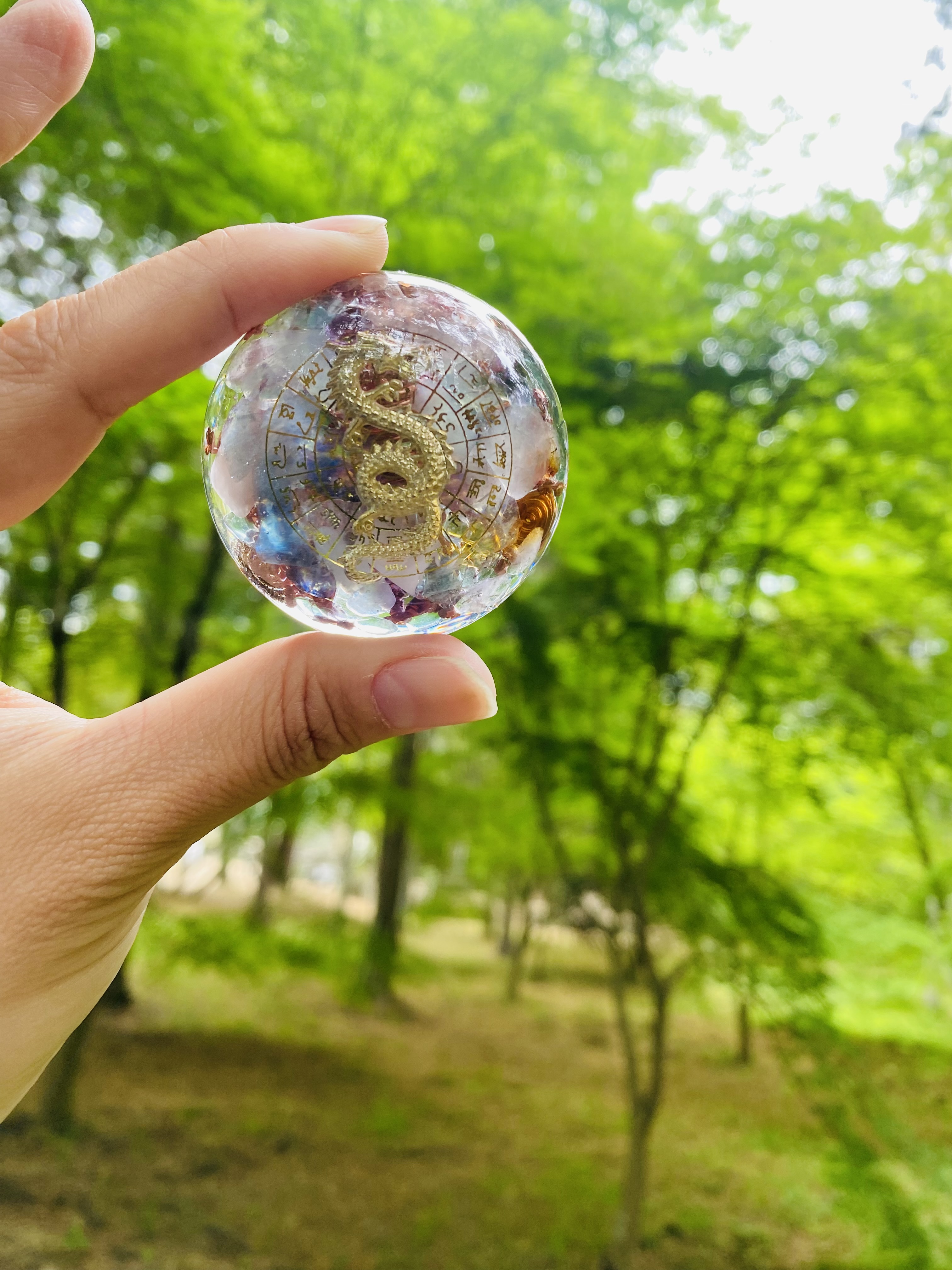 フトマニ図とは