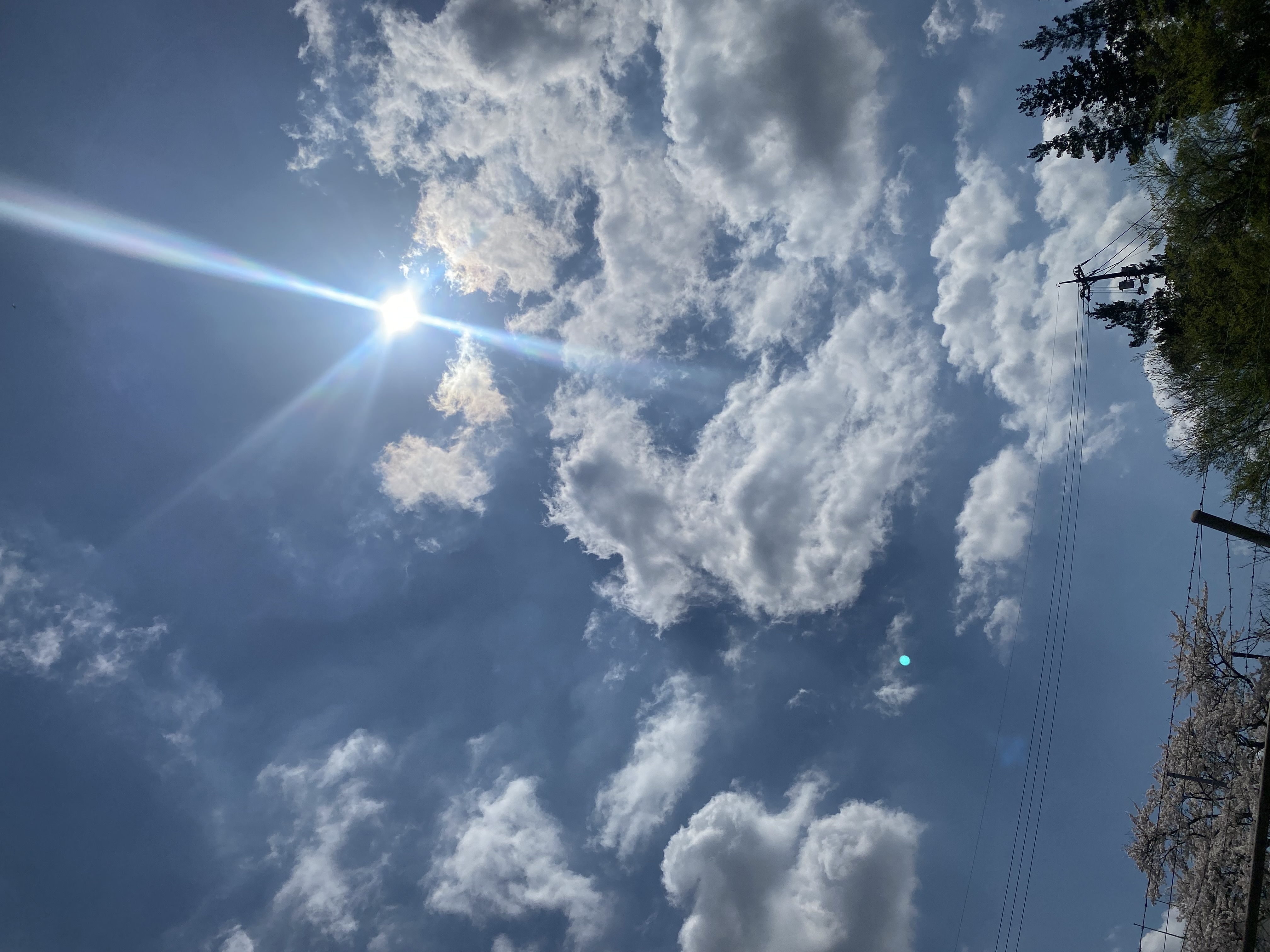 4月5日の星街マルシェ💫