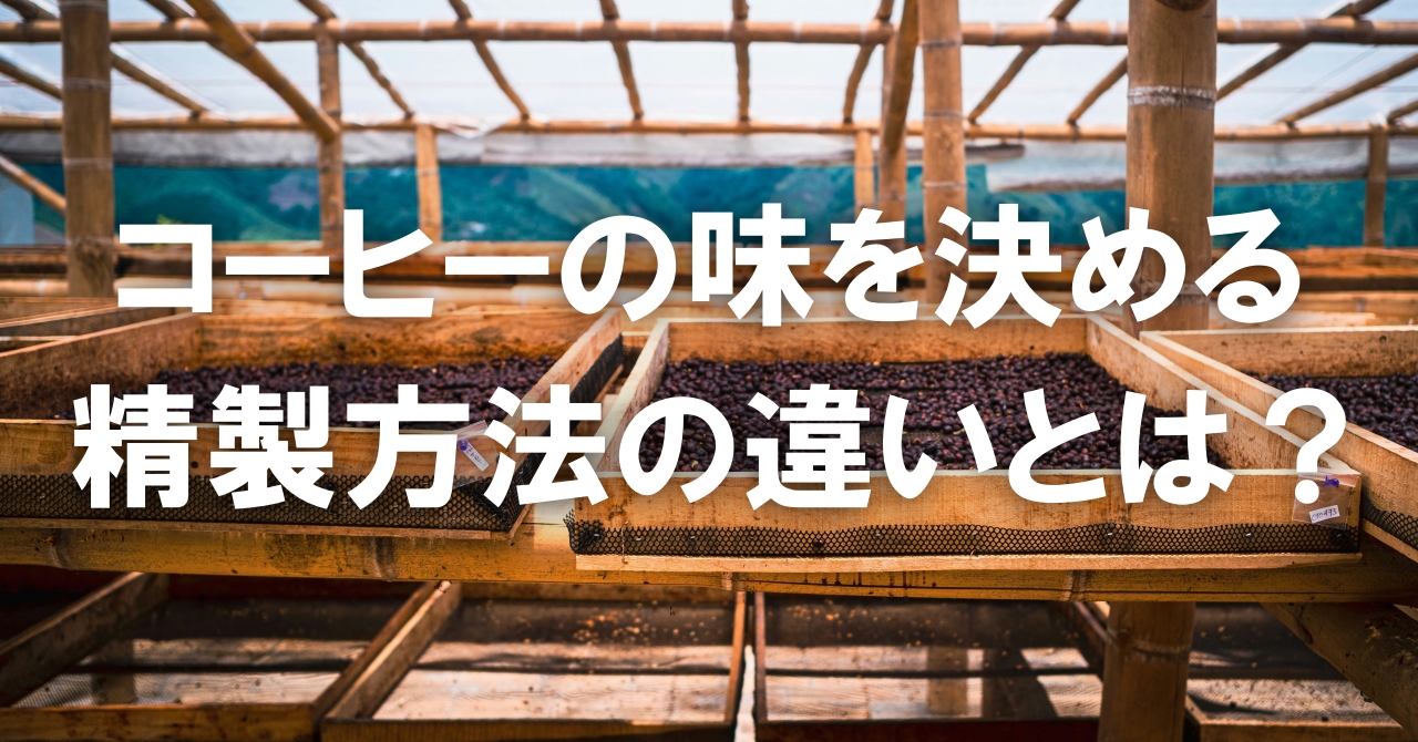 コーヒーの味を決める精製方法の違いとは？