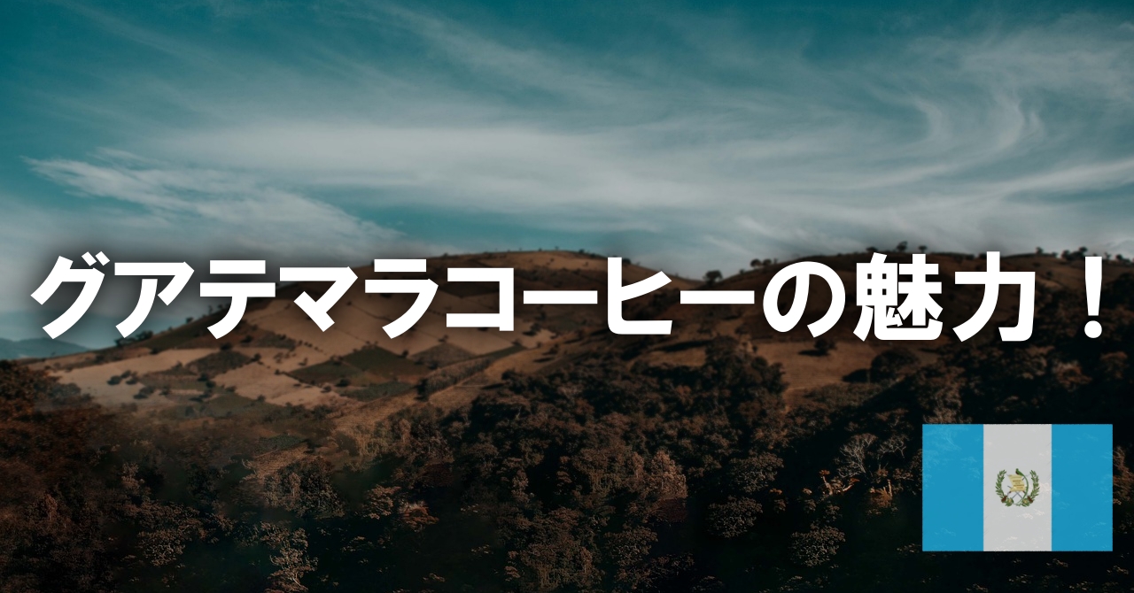 グアテマラコーヒーの魅力！