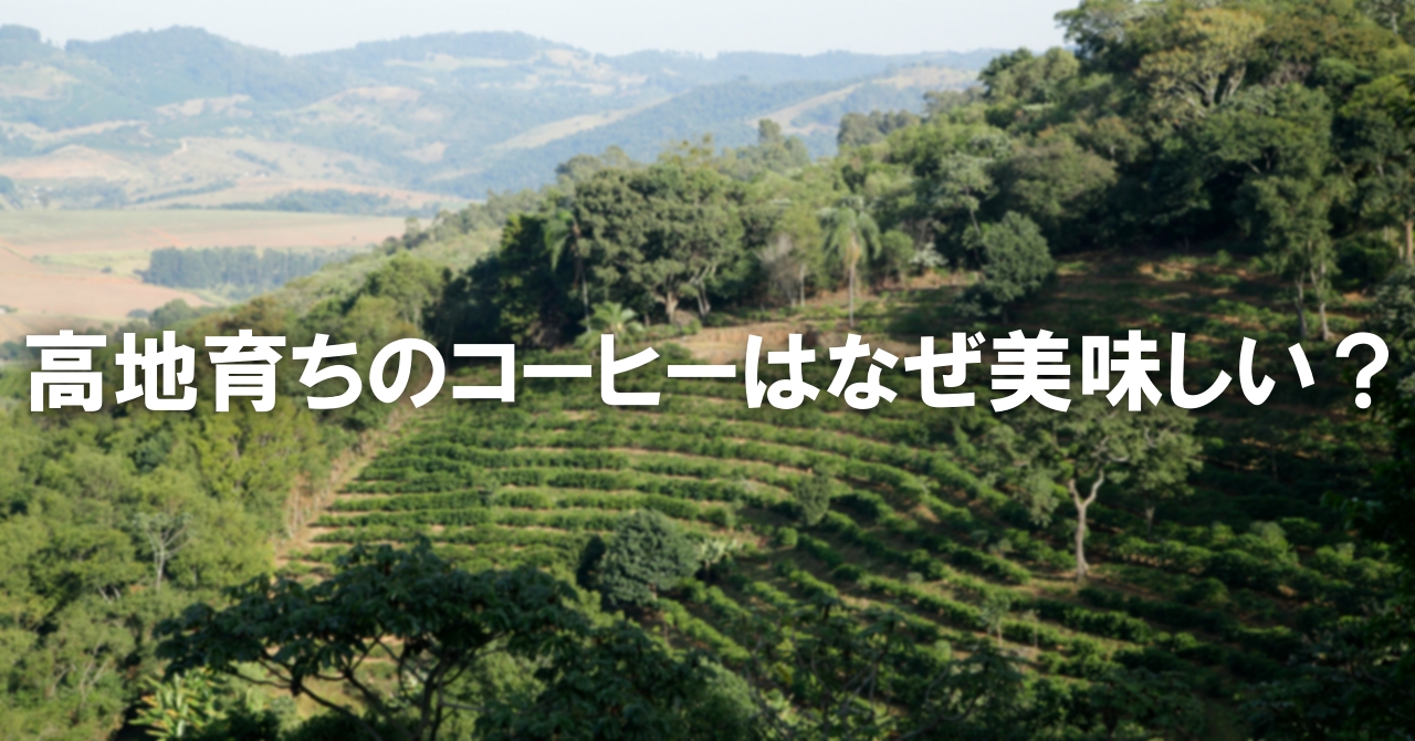 高地育ちのコーヒーはなぜ美味しい？