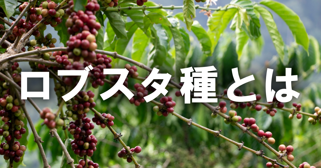 ロブスタ種とは