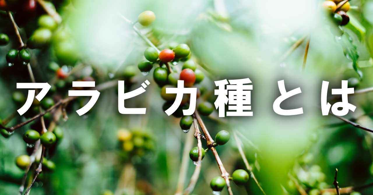 アラビカ種とは