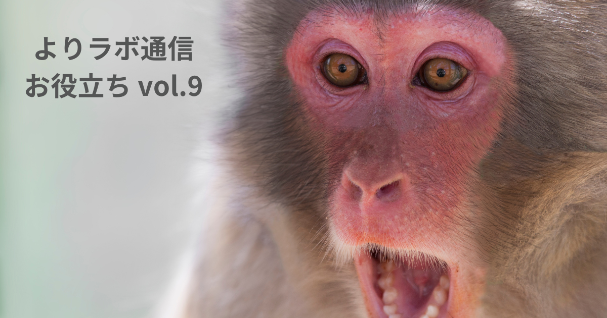 食べすぎ注意！サルの研究が明かす「カロリー制限＝長生き」の真実