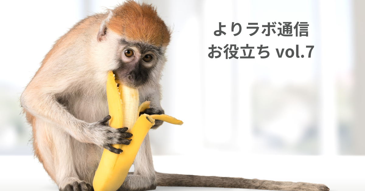 カロリーカットで病気予防：サルの寿命が延びた理由とは​