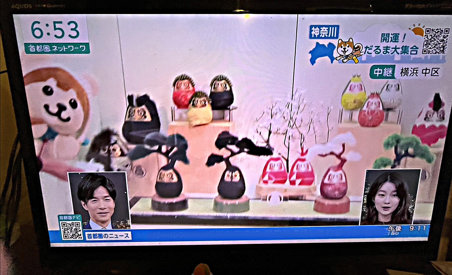 ダルマ武藏NHK ONEニュースに登場