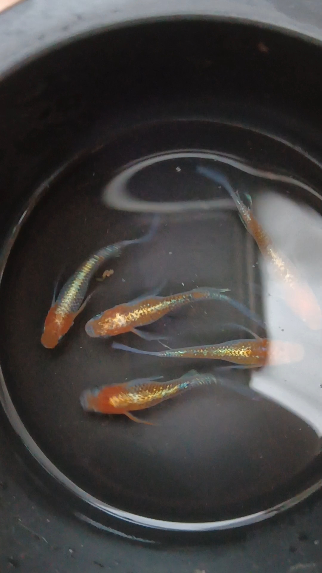ご挨拶✨