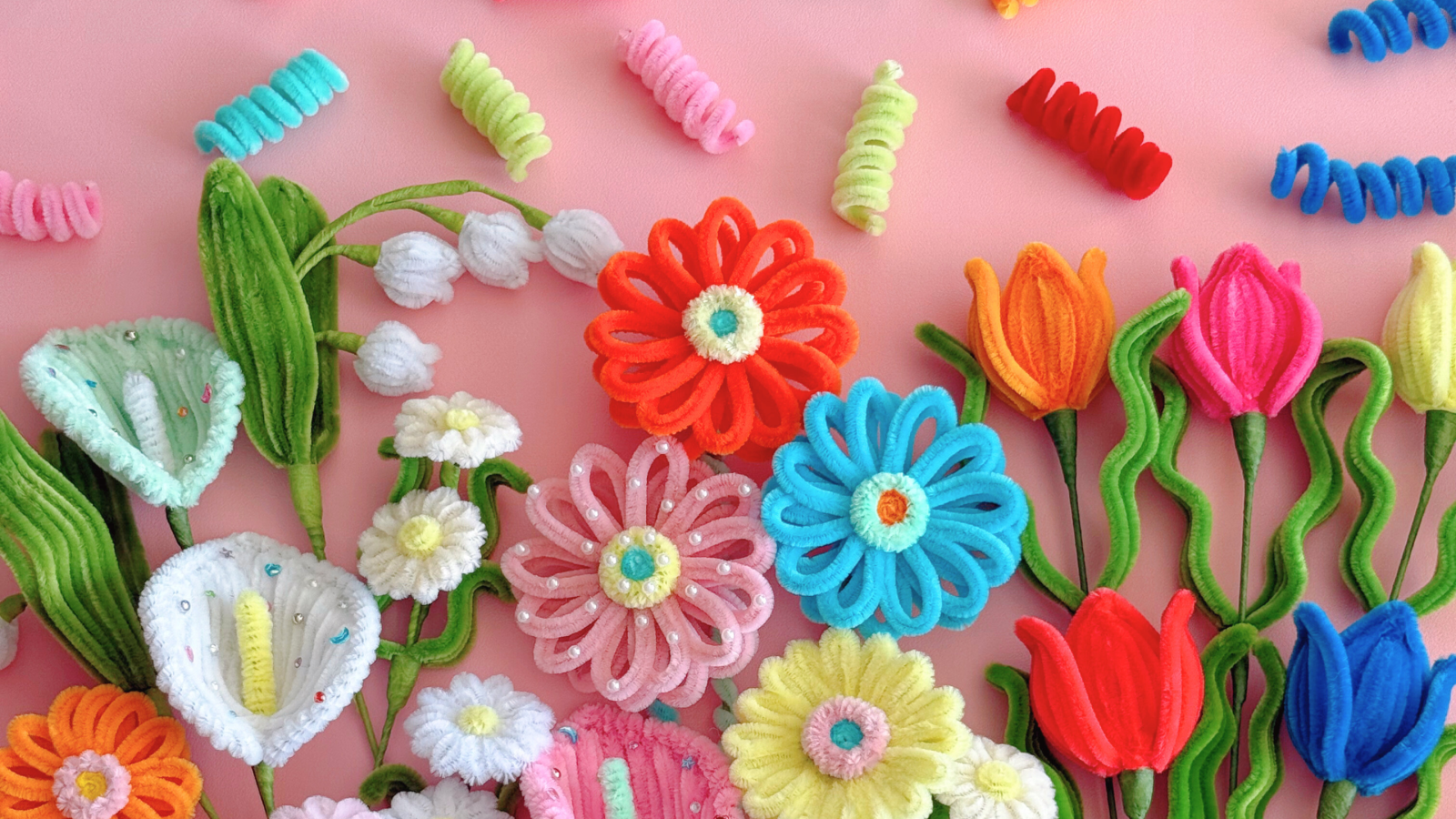 【随時更新】2025秋のPOP UP & EVENT!!