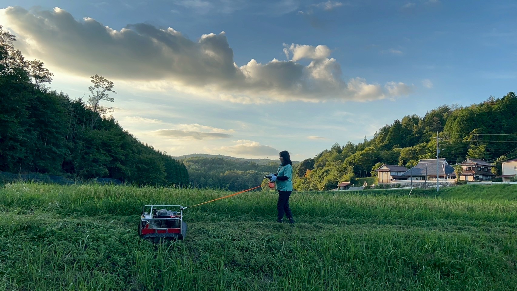 草刈り機のお散歩みたい