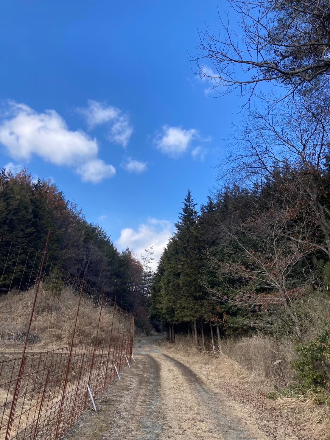 【ギャラリー】田舎の美しい風景