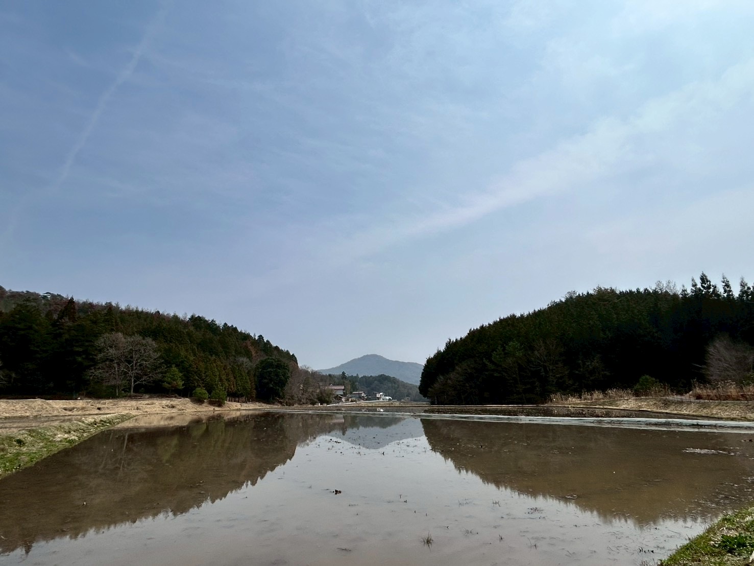 湧き水を早くから田んぼへ