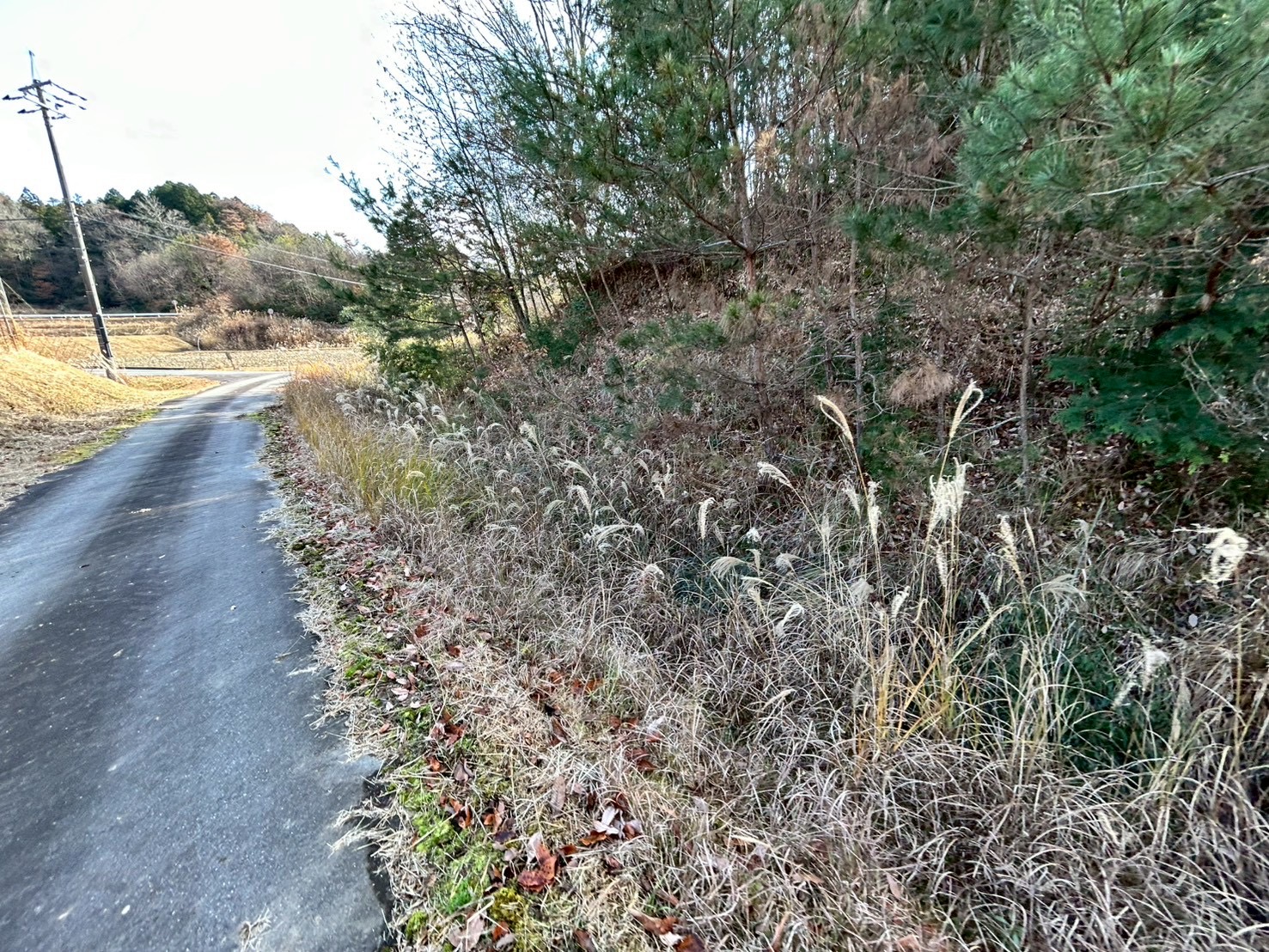 長男、鹿おどしを作りたい