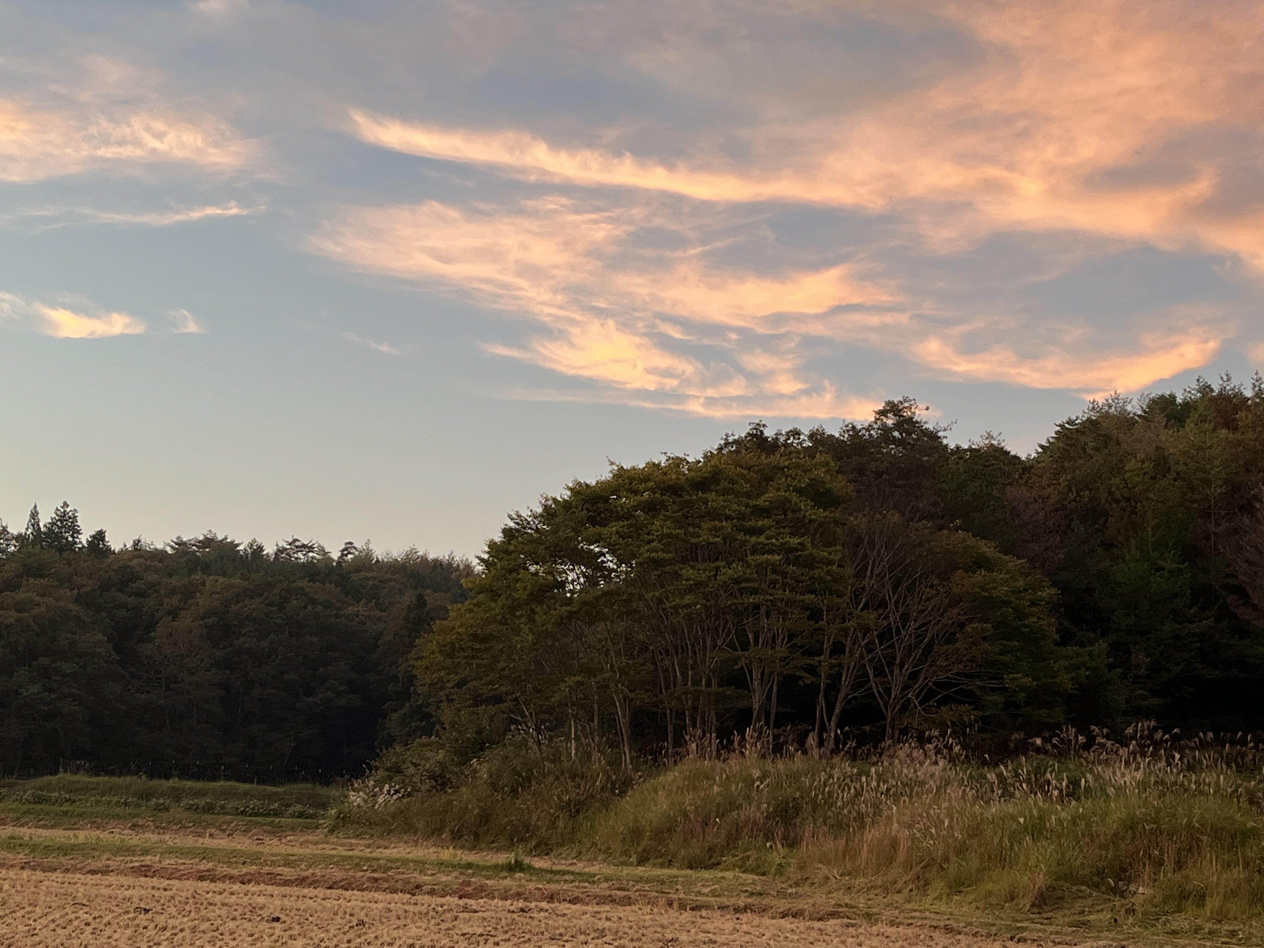 泥落としのネーミングセンス