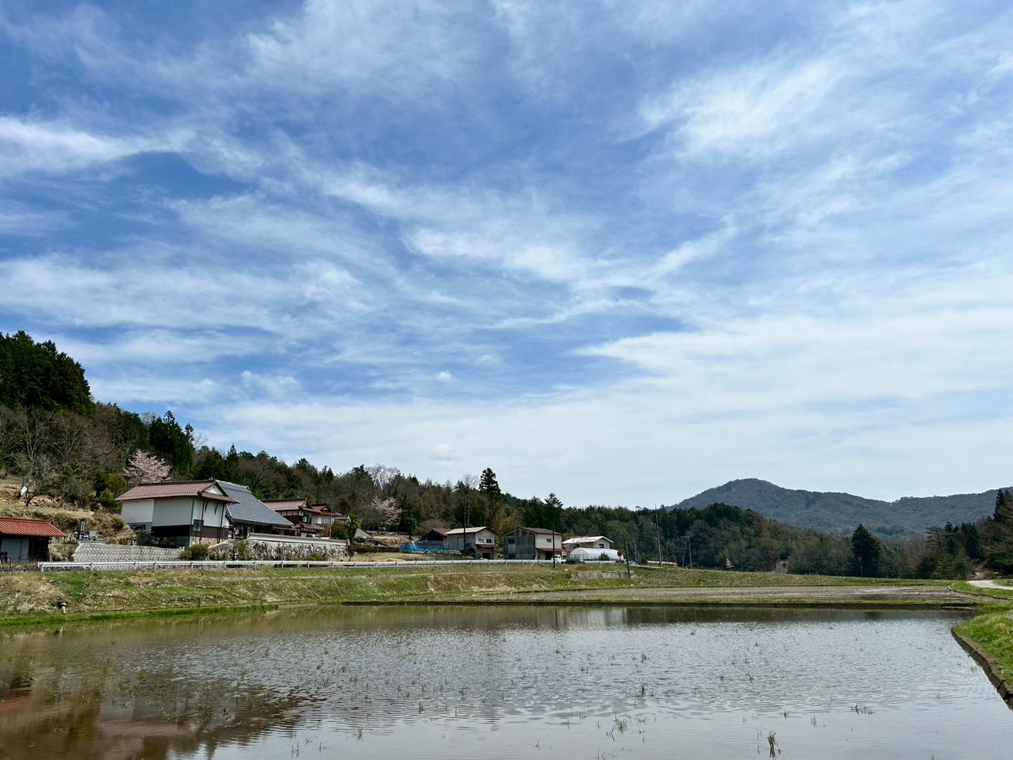 田植えの準備完了!
