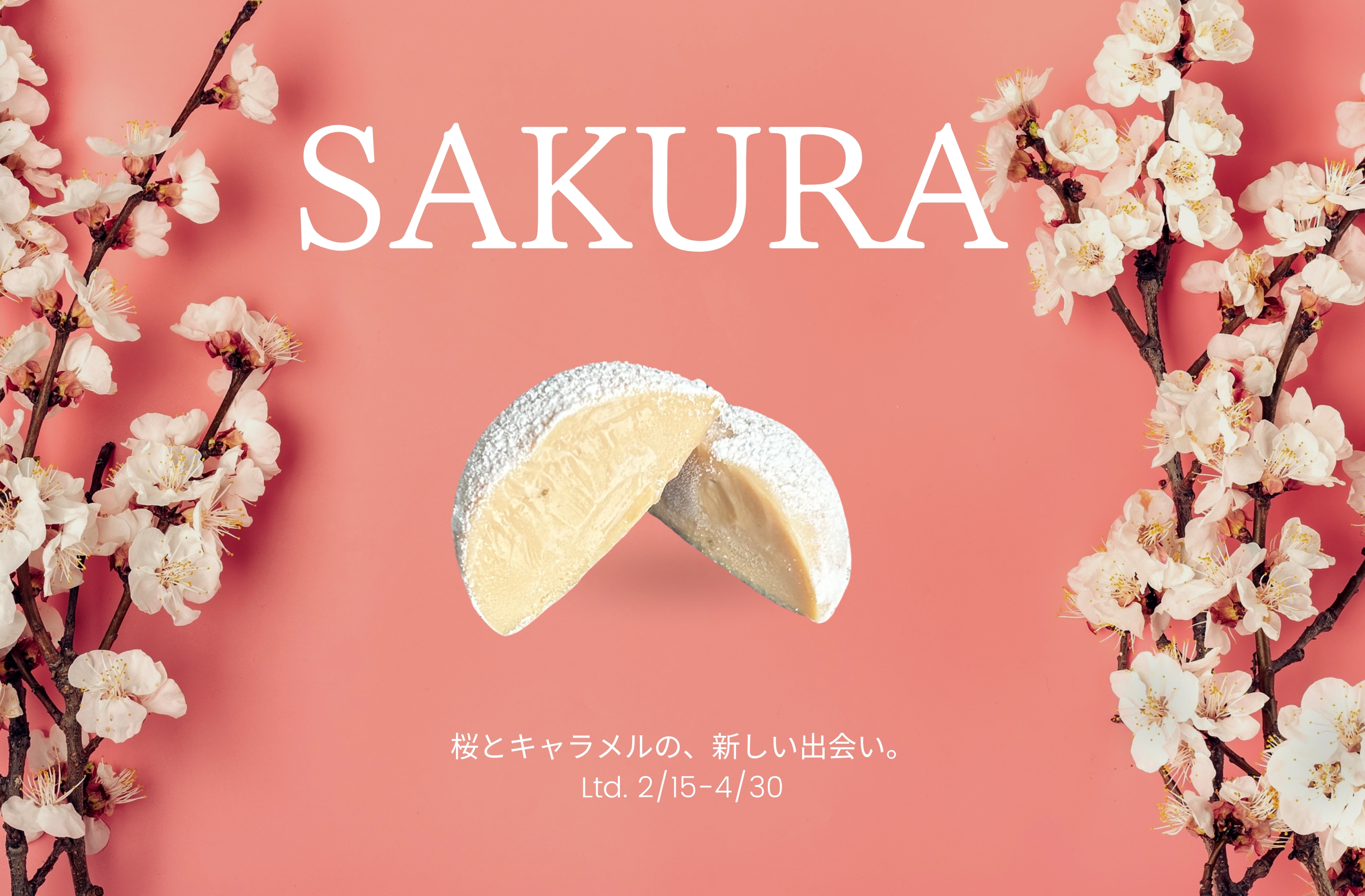 2025.2.18 春限定桜flavor販売開始のお知らせ